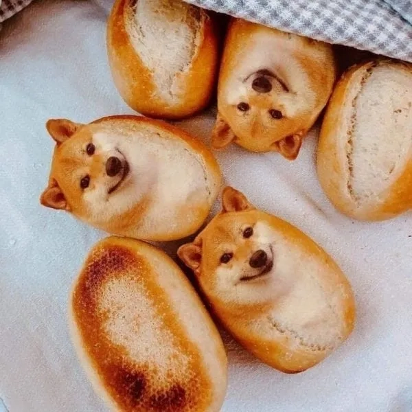 Cảnh sát chính tả meme cheems hài hước khiến bạn không nhịn được cười