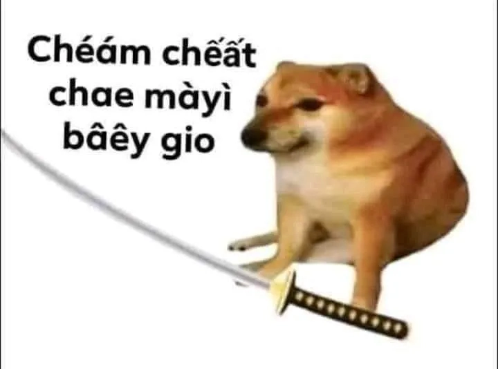 Meme cheems bất ngờ chắc chắn sẽ khiến bạn không thể nhịn cười