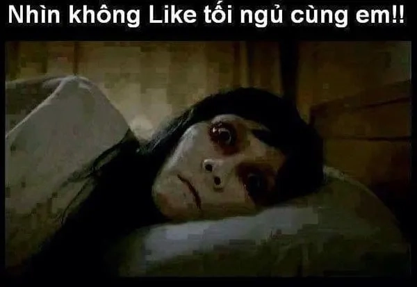 Gửi đến bạn một chúc ngủ ngon meme đáng yêu trước khi say giấc