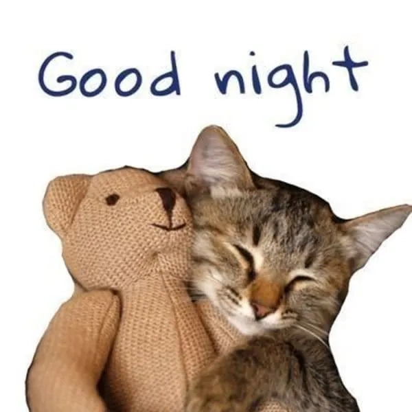 Ai đang thao thức thì chắc chắn sẽ thấy mình trong meme mất ngủ