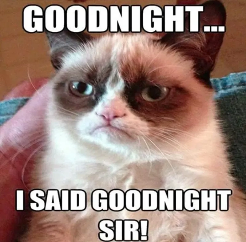 Lăn qua lăn lại với meme không ngủ được hài hước