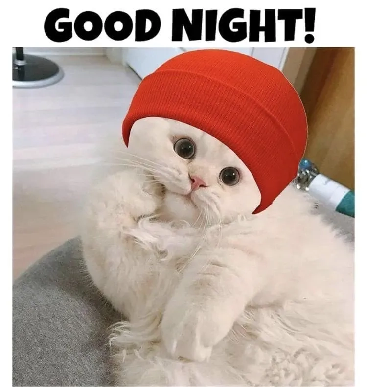 Tâm trạng khi sáng sớm với mới ngủ dậy meme chuẩn không cần chỉnh