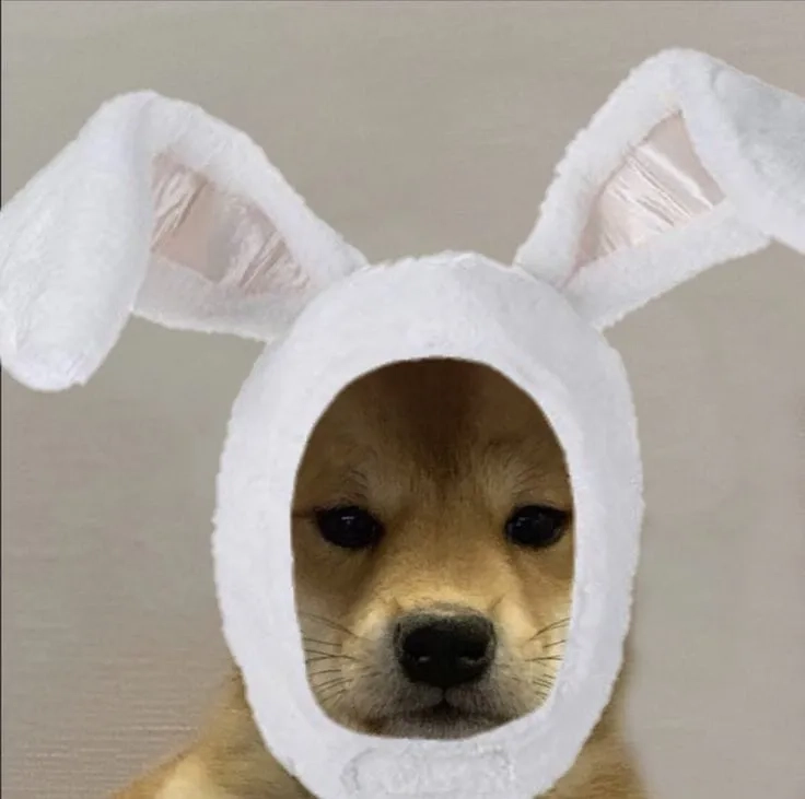 Dân thức khuya không thể bỏ lỡ meme mắt thâm quầng