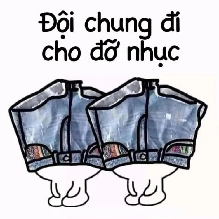 Boss nhà ai mà lầy thế, chó đội nón meme cực chất