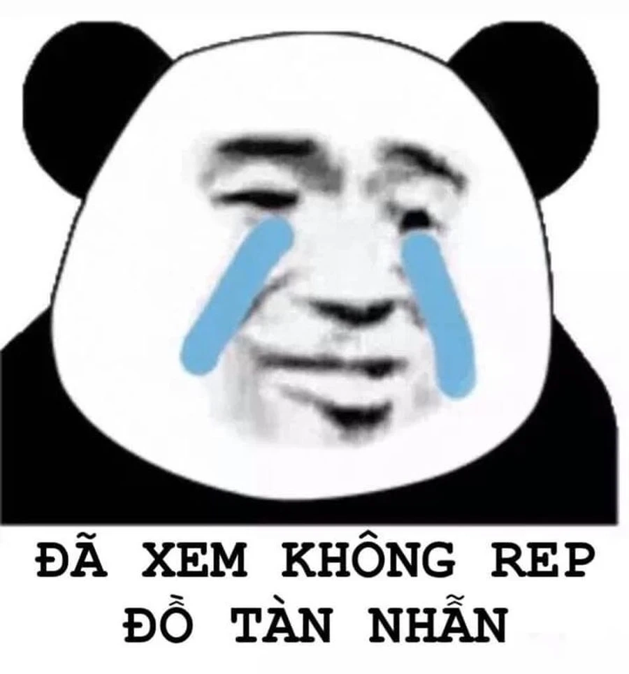 Nhìn ảnh gấu trúc meme thôi cũng đủ xả stress rồi
