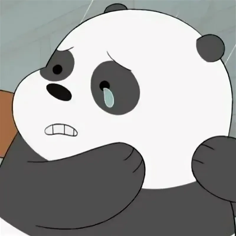 Tổng hợp ảnh meme gấu trúc hài hước để bạn giải trí