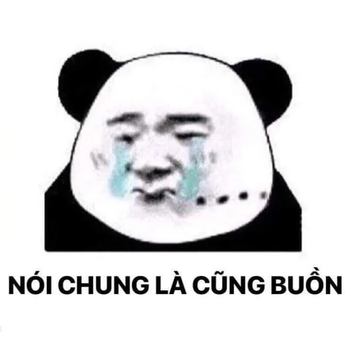 Kho ảnh meme gấu Trung Quốc siêu hài bạn không thể bỏ qua