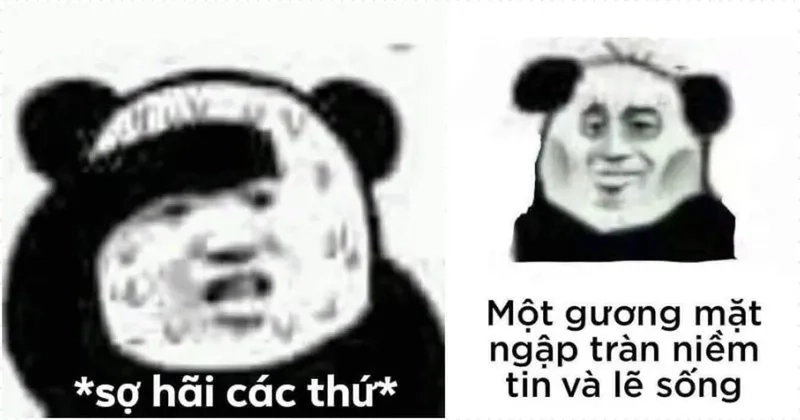 Khi bạn thức đêm quá nhiều và thành gấu trúc meme mắt thâm