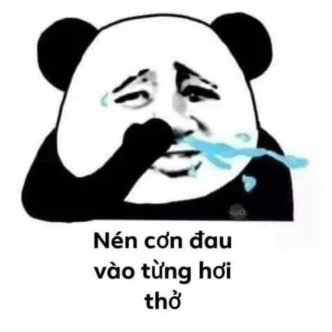 Phong cách meme gấu trúc ngang ngược chất chơi miễn bàn