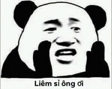Lời xin lỗi chân thành từ meme gấu trúc xin lỗi nhưng vẫn rất troll