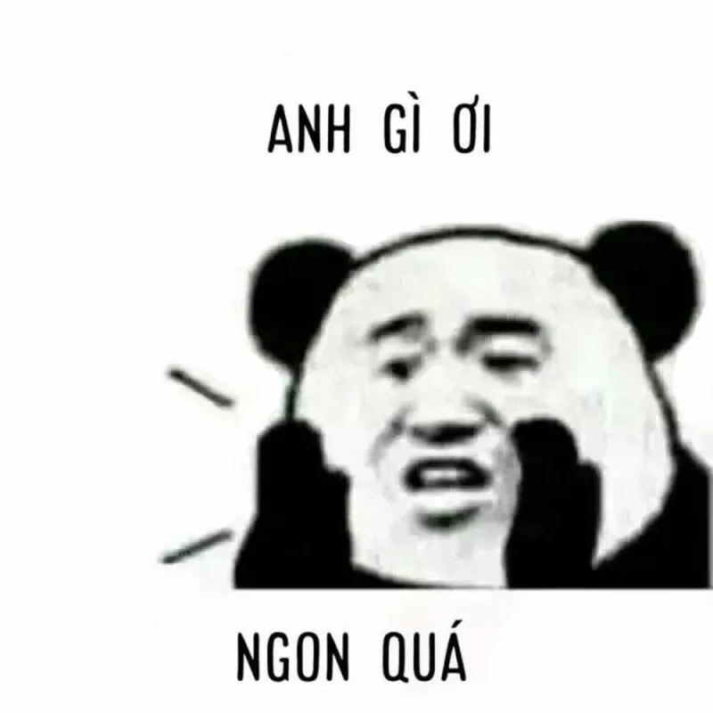 Tổng hợp ảnh chế meme gấu trúc khiến bạn không thể nhịn cười