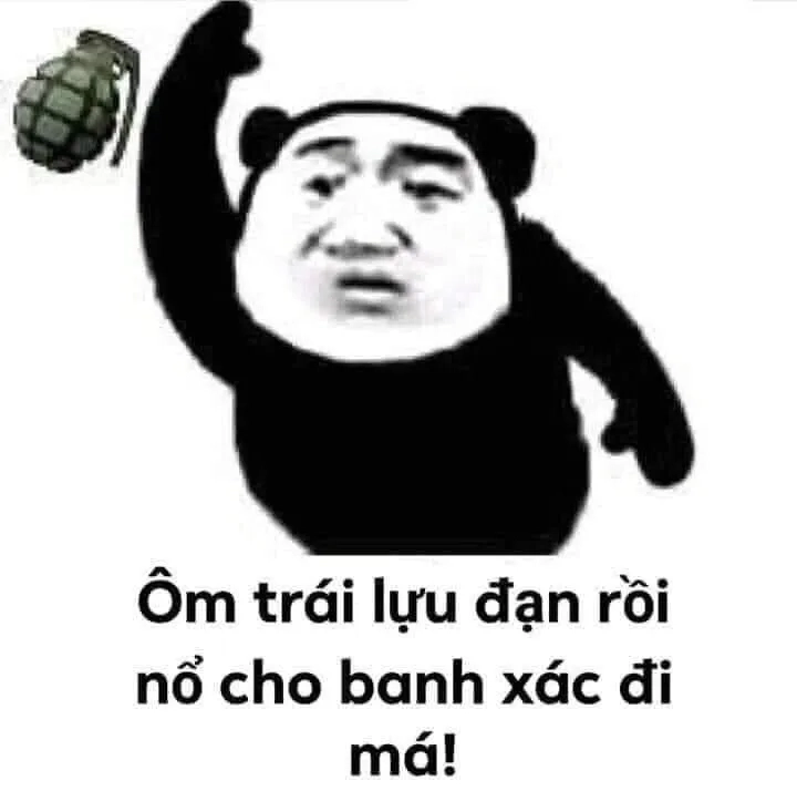Hiện thân của cú đêm là đây meme gấu trúc mắt thâm chuẩn không cần chỉnh