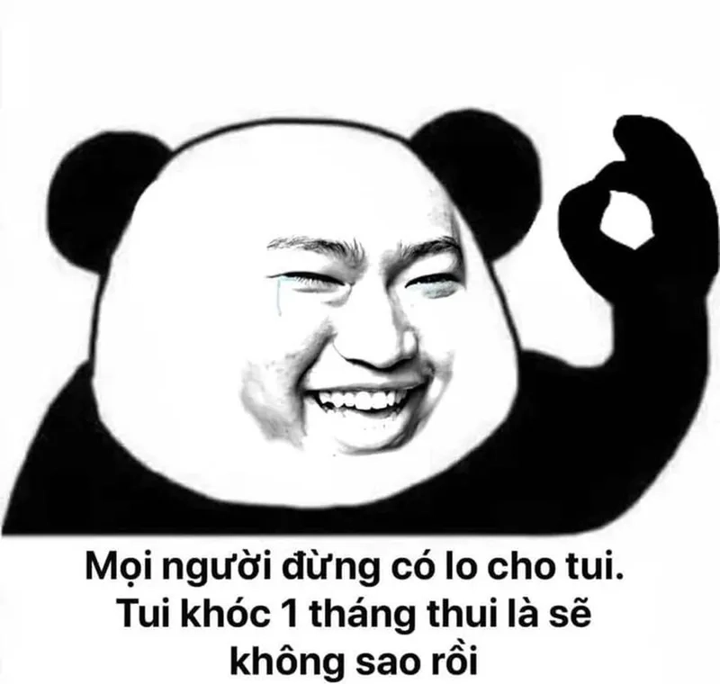 Nói lời tạm biệt theo phong cách meme gấu trúc cáo từ siêu chất