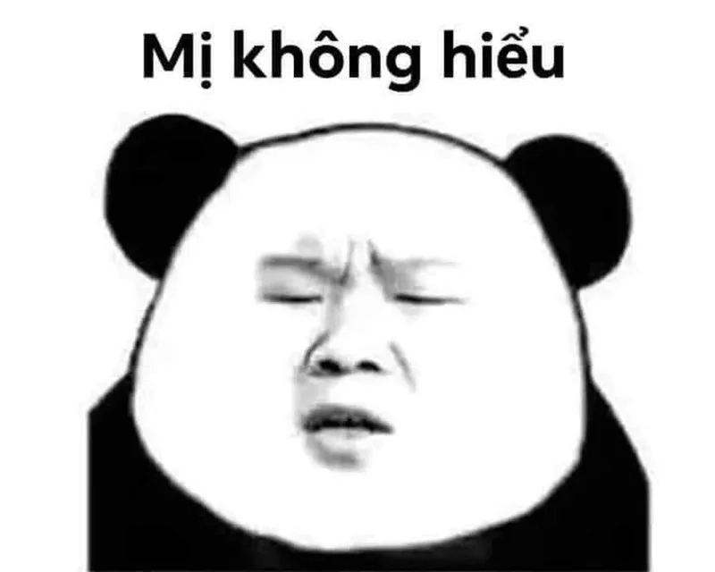 Biểu cảm dễ thương của meme gấu trúc yêu khiến ai cũng tan chảy