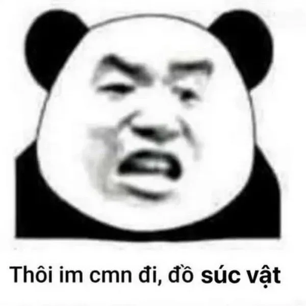 Khoảnh khắc sốc óc trong meme gấu trúc bất ngờ làm ai cũng cười