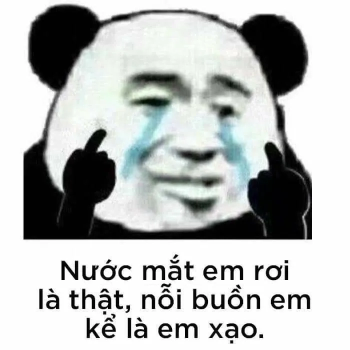Biểu cảm đồng ý cực chất từ meme gấu trúc ok