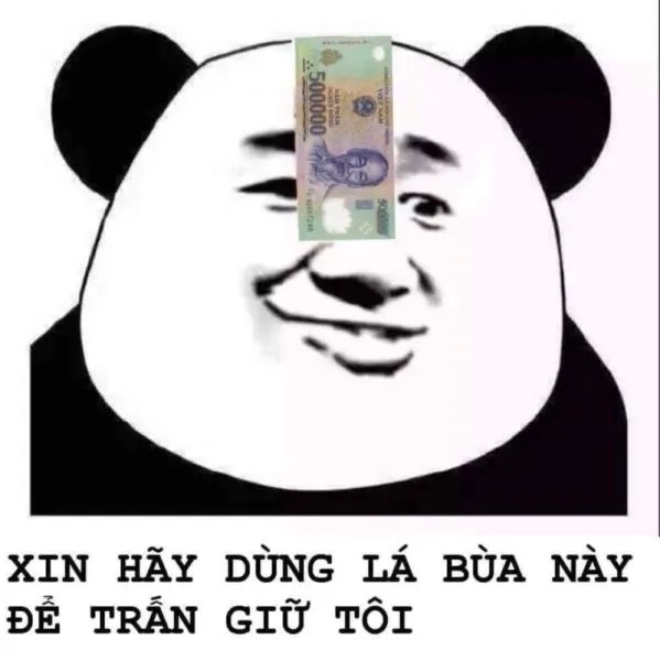 Tuyển tập meme con gấu với đủ sắc thái từ hài hước đến troll