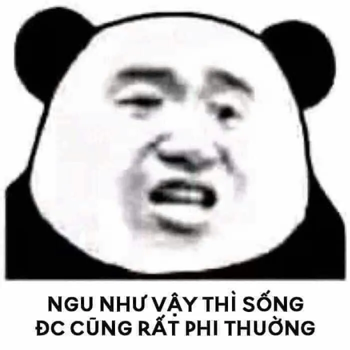 Tổng hợp meme con gấu trúc vui nhộn dành riêng cho bạn