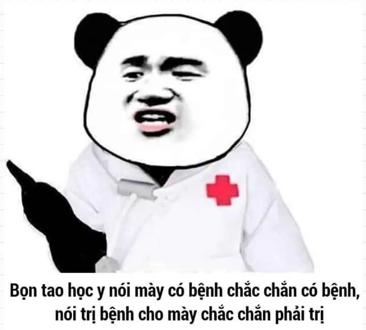Lời tri ân siêu đáng yêu từ meme gấu trúc cảm ơn