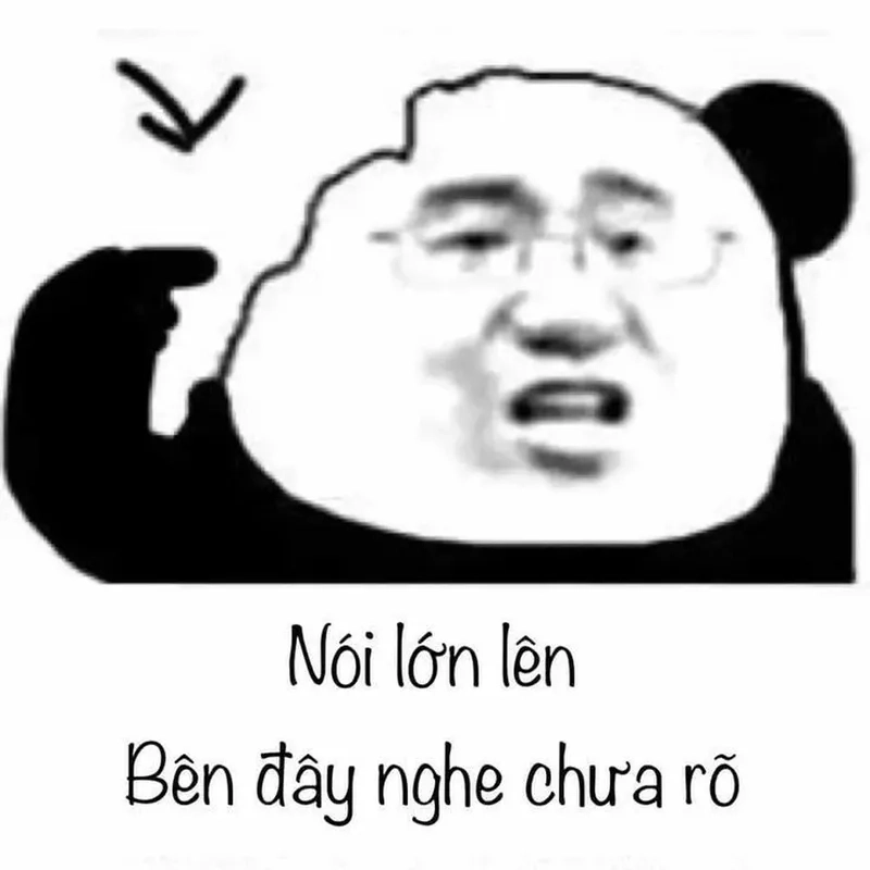 Thêm vào bộ sưu tập ngay hình meme gấu trúc hài hước nhất