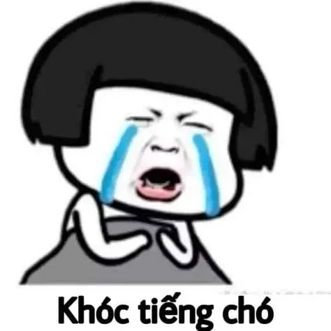 Khóc meme mèo buồn là hình ảnh đầy cảm xúc và dễ thương.