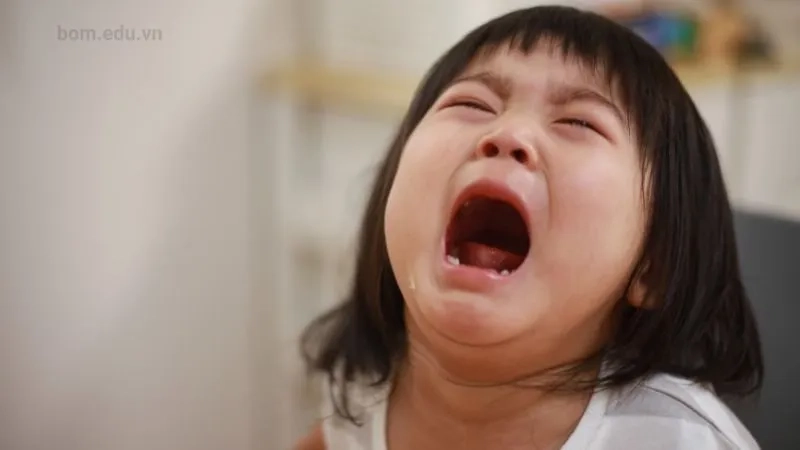 Meme mèo khóc like có thể khiến bạn bật cười ngay lập tức.