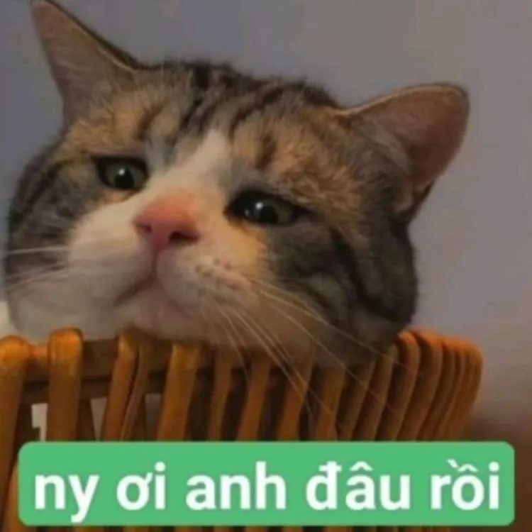 love and deepspace meme mang lại những khoảnh khắc tình yêu ngoài không gian