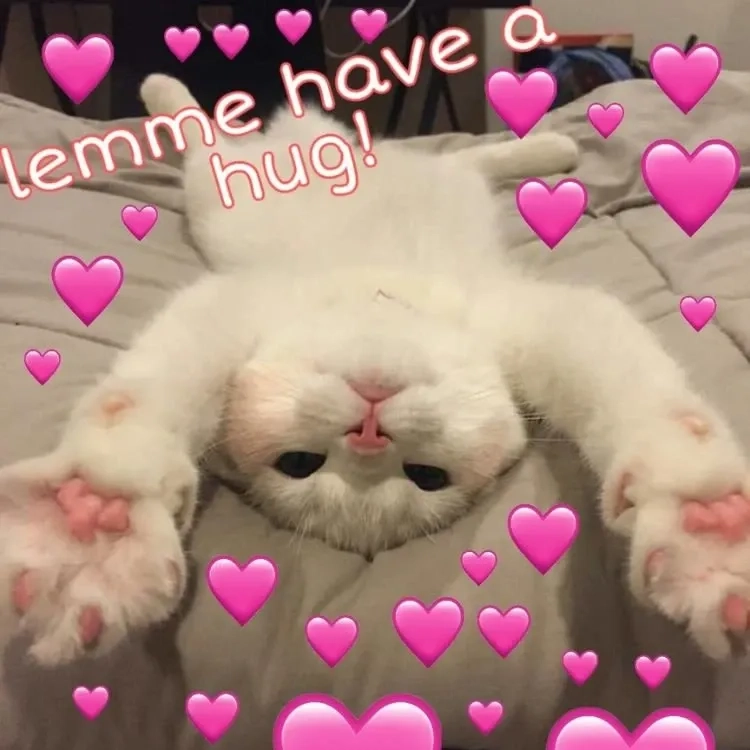 loopy meme love là sự vui nhộn kết hợp với tình yêu dễ thương