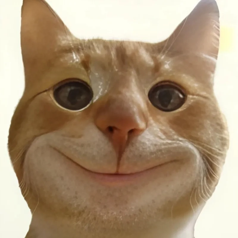 Meme con mèo cười khiến bạn không thể nhịn cười