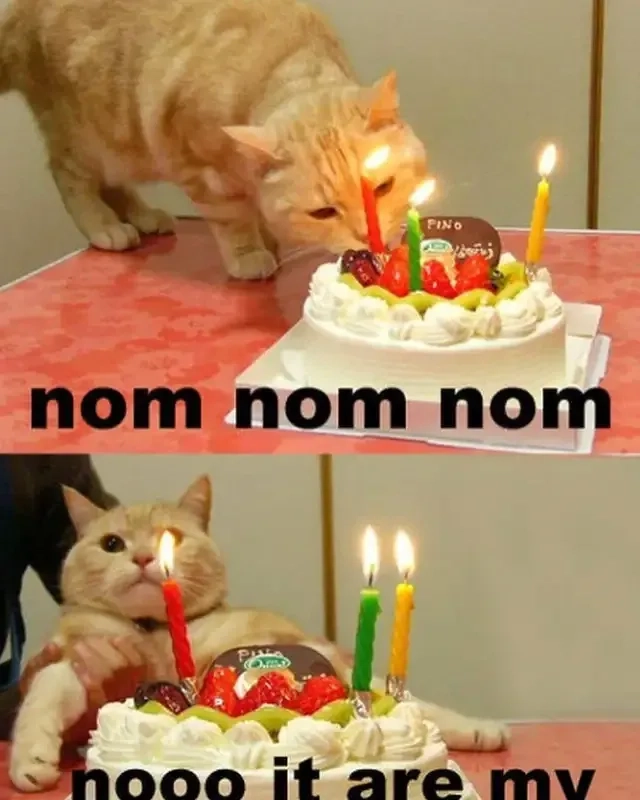 Lời chúc bá đạo với happy birthday funny meme cực vui