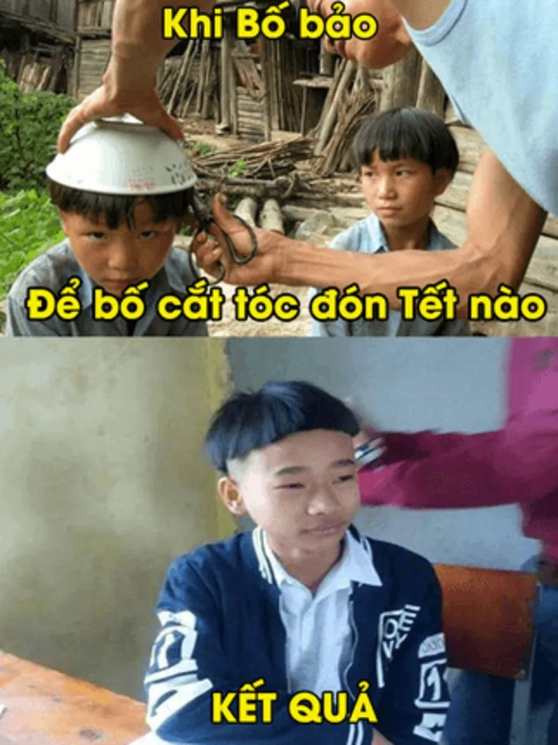Cập nhật avatar tết mèo meme dễ thương đón Tết vui