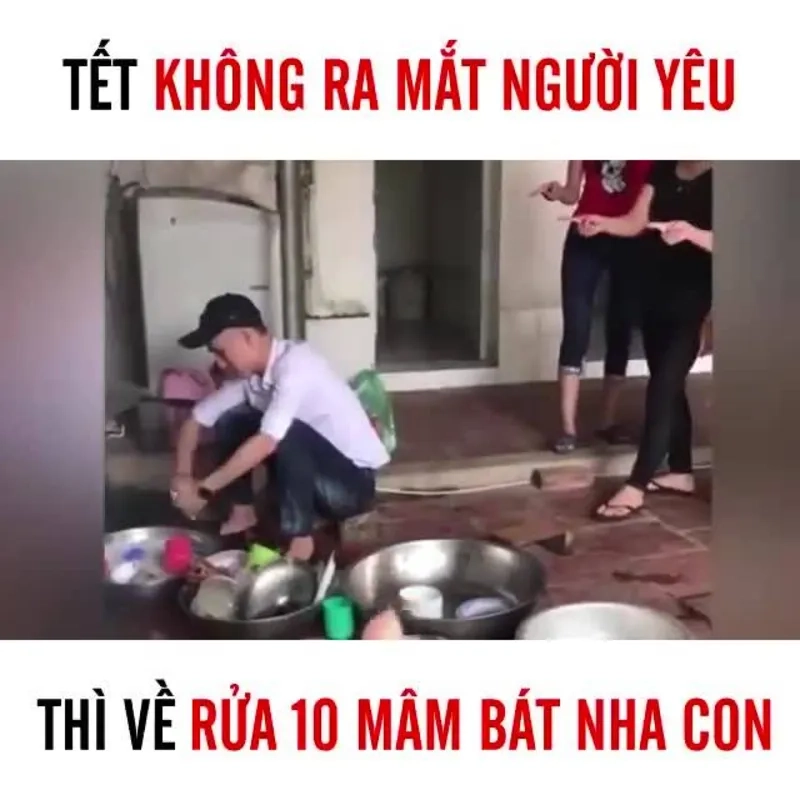 Lưu ngay ảnh tết meme mèo để khoe mùa xuân rộn ràng