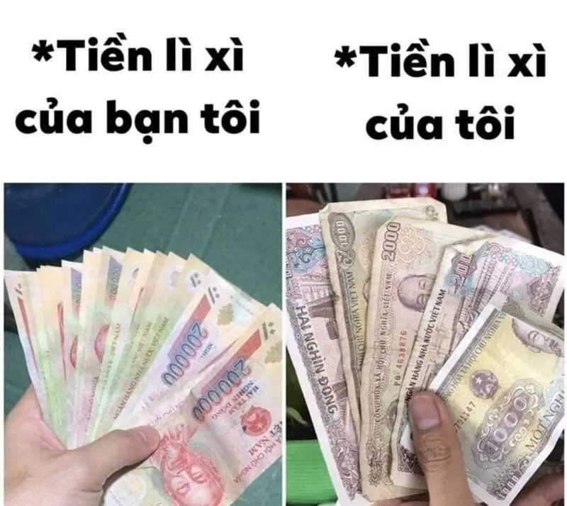 Cười sảng khoái với hình mèo tết meme siêu đáng yêu
