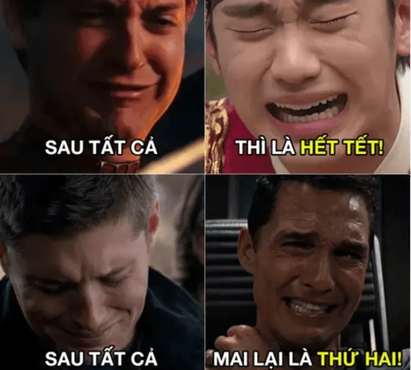 Chọn ngay avata tết meme để chào đón năm mới thật rực rỡ