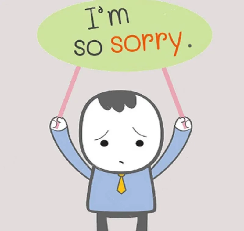 Nhìn meme gấu trúc xin lỗi mà không giận không được