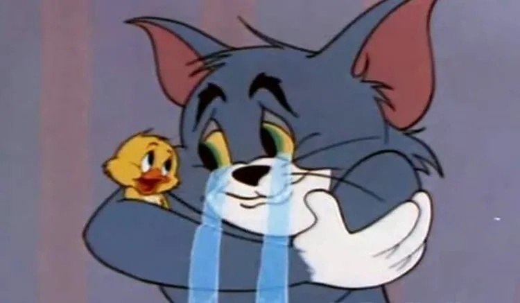 Dùng ngay meme em xin lỗi cho lời xin lỗi đáng yêu