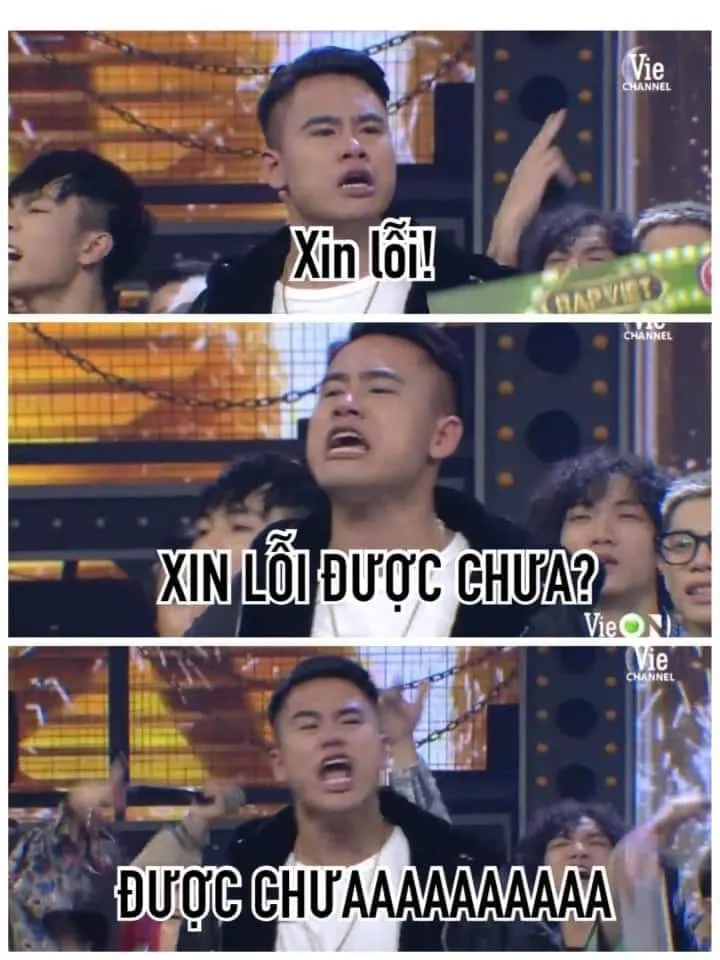 Ảnh mèo meme xin lỗi giúp làm dịu mọi giận hờn