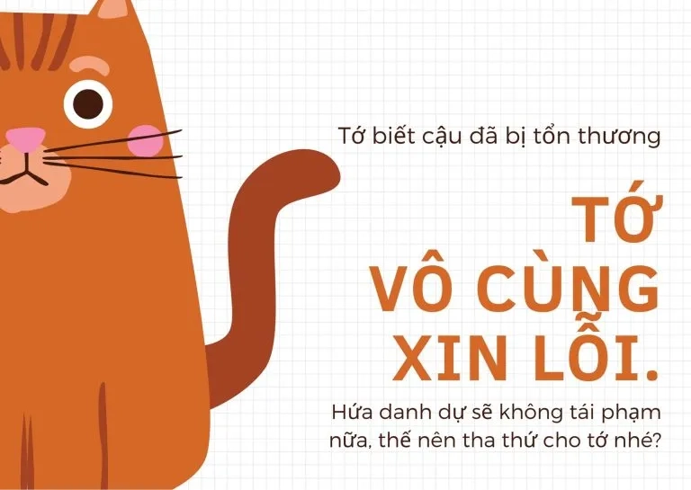 Lời xin lỗi chân thành nhất là meme xin lỗi bằng tiền đi