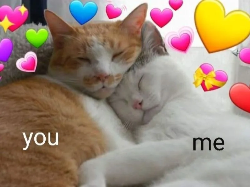 Meme nhớ người yêu này dành cho những ai đang thiếu vắng người ấy