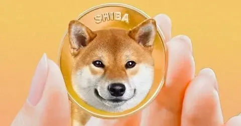 Cùng xem cheems meme chó để thêm niềm vui và tiếng cười trong ngày