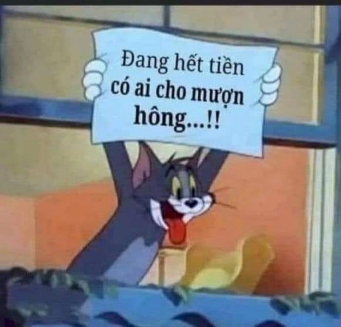 Meme Tom cười cực kỳ sảng khoái và vui nhộn