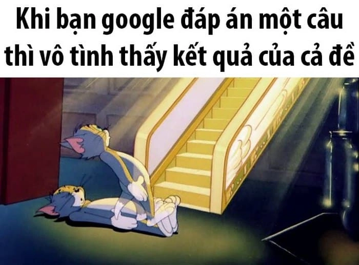 Meme mèo Tom trên thiên đàng với nét mặt thanh thản