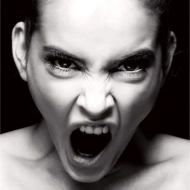 Tức giận ảnh meme dỗi mèo cute là lựa chọn hoàn hảo để thể hiện cảm xúc