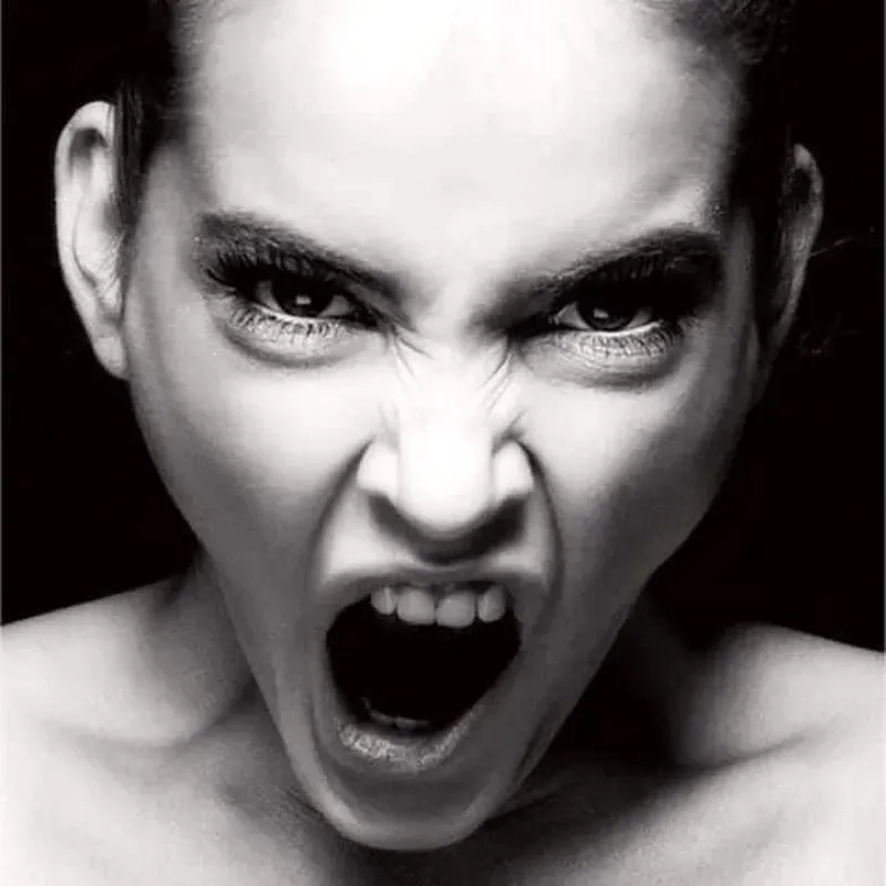 Mèo meme tức giận sẽ mang lại nụ cười đầy bất ngờ cho bạn