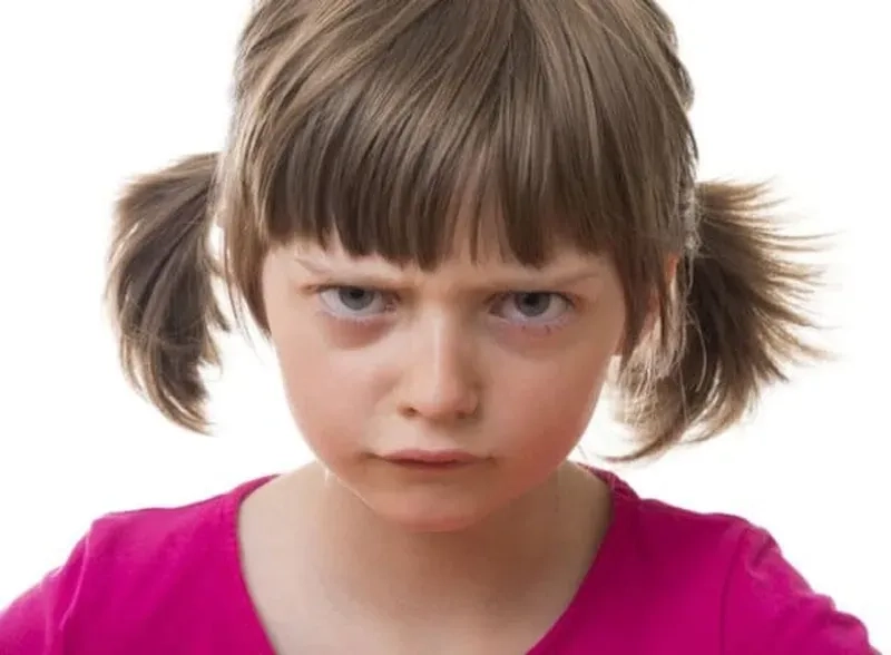 Meme mèo tom tức giận cực kỳ đáng yêu và hài hước với động vật yêu thích