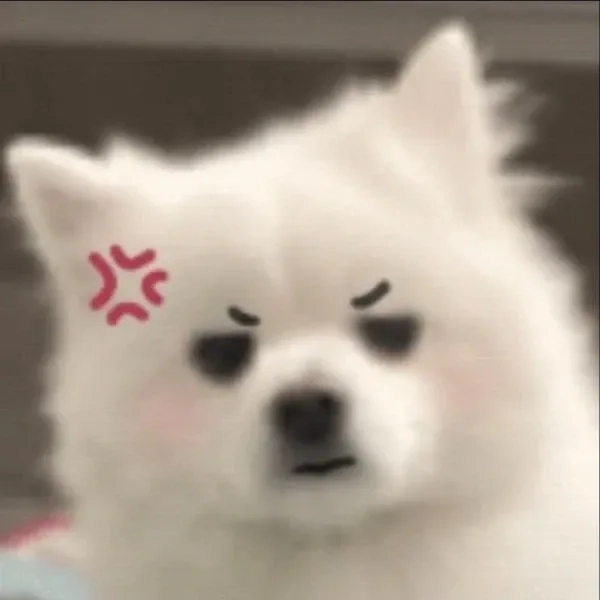 Meme giận dỗi biểu cảm đáng yêu mà khó chịu