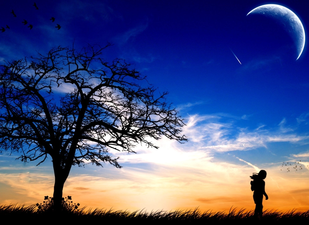 Cảnh vật u sầu mang cảm xúc trầm lặng