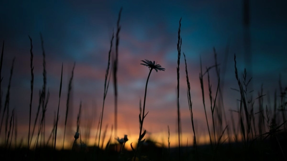 Cảnh vật cô đơn gợi cảm giác lặng lẽ