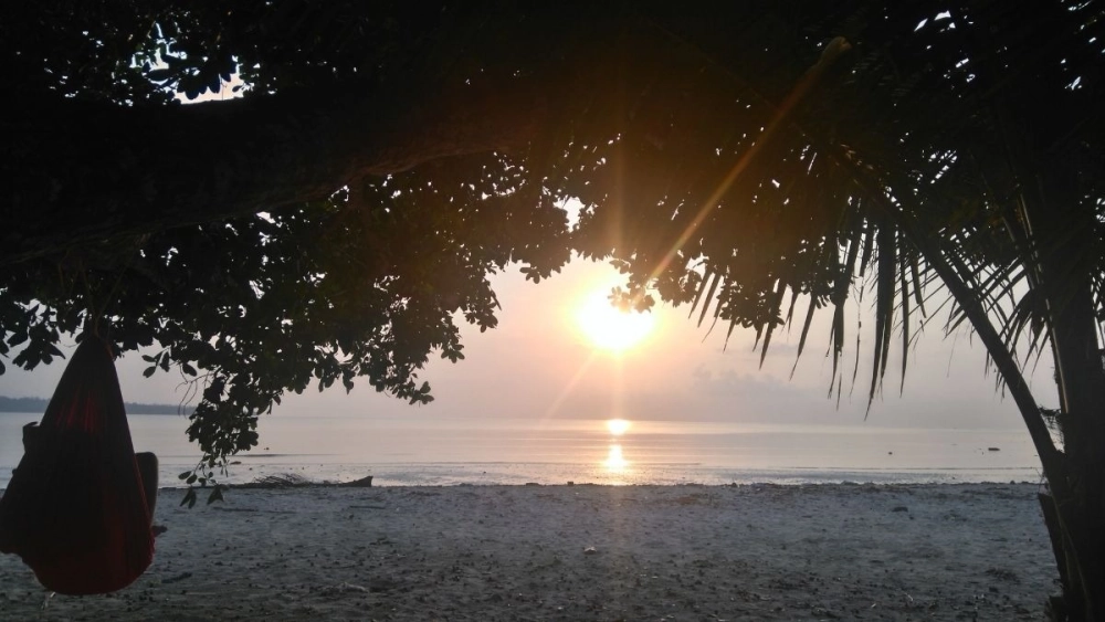 Cây cối trơ trụi mang nét buồn hoang vắng