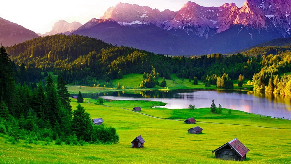 Phong cảnh thiên nhiên tươi đẹp tràn đầy sức sống